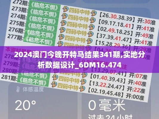 2024澳门今晚开特马结果341期,实地分析数据设计_6DM16.474