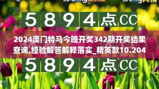 2024澳门特马今晚开奖342期开奖结果查询,经验解答解释落实_精英款10.204