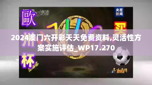 2024澳门六开彩天天免费资料,灵活性方案实施评估_WP17.270