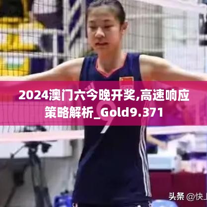 2024澳门六今晚开奖,高速响应策略解析_Gold9.371