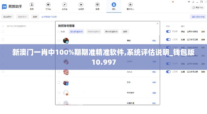 新澳门一肖中100%期期准精准软件,系统评估说明_钱包版10.997