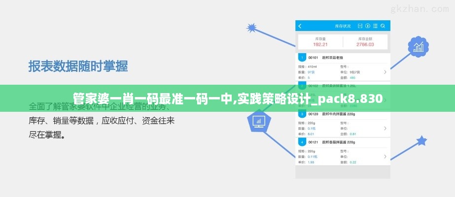 管家婆一肖一码最准一码一中,实践策略设计_pack8.830