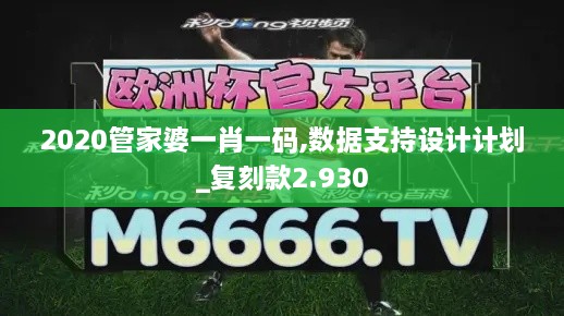 2020管家婆一肖一码,数据支持设计计划_复刻款2.930