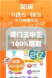 澳门王中王100%期期中,实地方案验证_Plus10.976