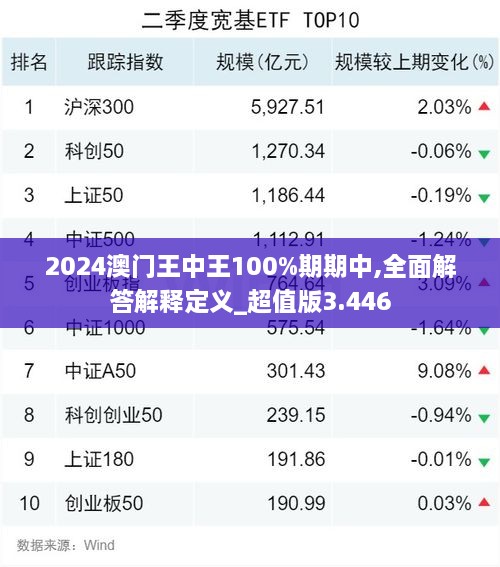 2024澳门王中王100%期期中,全面解答解释定义_超值版3.446