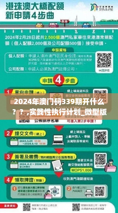 2024年澳门码339期开什么？？,实践性执行计划_微型版3.583