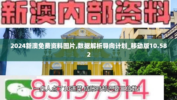 2024新澳免费资料图片,数据解析导向计划_移动版10.582