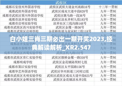 白小姐三肖三期必出一期开奖2023,经典解读解析_XR2.547