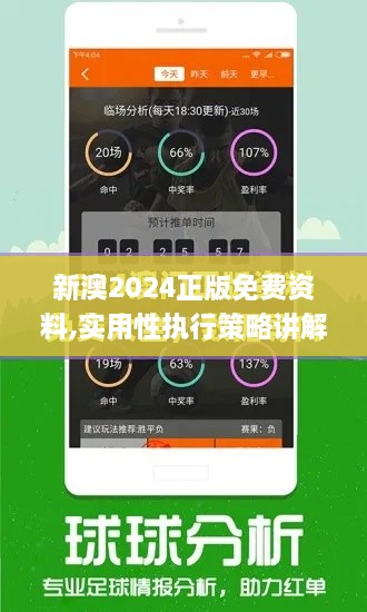 新澳2024正版免费资料,实用性执行策略讲解_界面版4.883