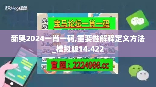 新奥2024一肖一码,重要性解释定义方法_模拟版14.422