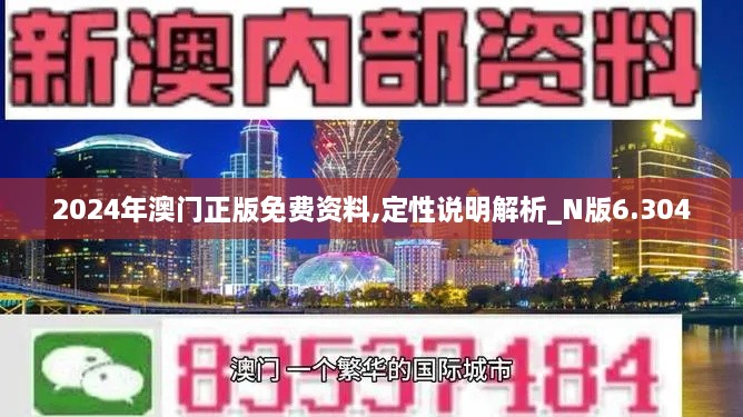 2024年澳门正版免费资料,定性说明解析_N版6.304