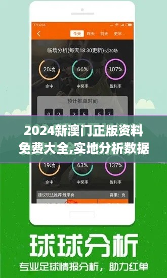 2024新澳门正版资料免费大全,实地分析数据方案_专业款19.239