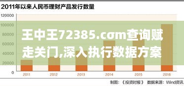 王中王72385.cσm查询赋走关门,深入执行数据方案_AP11.522