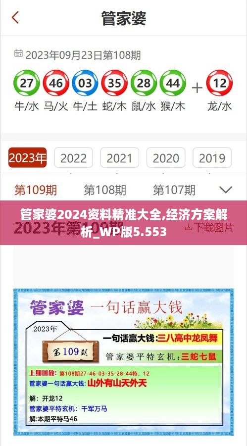 管家婆2024资料精准大全,经济方案解析_WP版5.553