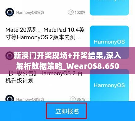 新澳门开奖现场+开奖结果,深入解析数据策略_WearOS8.650