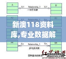 新澳118资料库,专业数据解释定义_复古版6.588