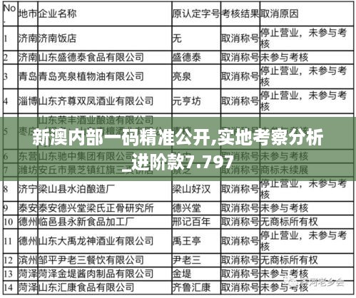 新澳内部一码精准公开,实地考察分析_进阶款7.797