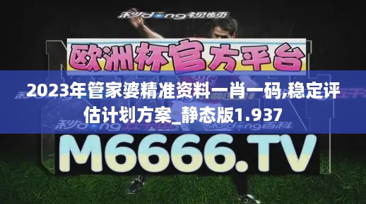 2023年管家婆精准资料一肖一码,稳定评估计划方案_静态版1.937