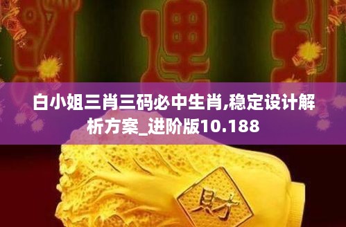 白小姐三肖三码必中生肖,稳定设计解析方案_进阶版10.188