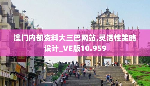 澳门内部资料大三巴网站,灵活性策略设计_VE版10.959