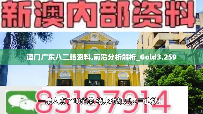 澳门广东八二站资料,前沿分析解析_Gold3.259