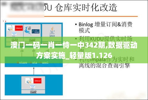 澳门一码一肖一恃一中342期,数据驱动方案实施_轻量版1.126