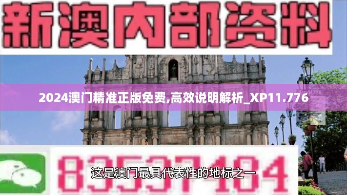 2024澳门精准正版免费,高效说明解析_XP11.776