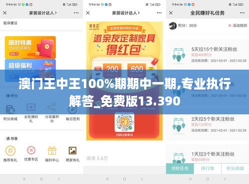 澳门王中王100%期期中一期,专业执行解答_免费版13.390