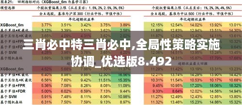 三肖必中特三肖必中,全局性策略实施协调_优选版8.492