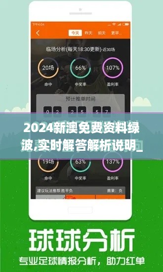 2024新澳免费资料绿波,实时解答解析说明_T1.626