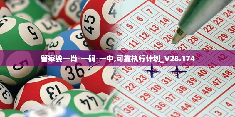 管家婆一肖-一码-一中,可靠执行计划_V28.174