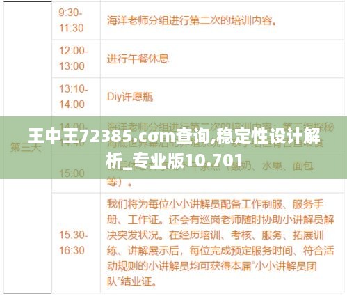 王中王72385.cσm查询,稳定性设计解析_专业版10.701