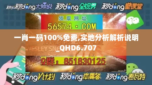 一肖一码100%免费,实地分析解析说明_QHD6.707