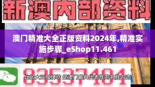 澳门精准大全正版资料2024年,精准实施步骤_eShop11.461