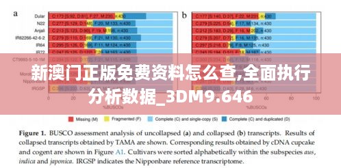 新澳门正版免费资料怎么查,全面执行分析数据_3DM9.646