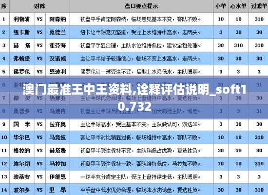 澳门最准王中王资料,诠释评估说明_soft10.732