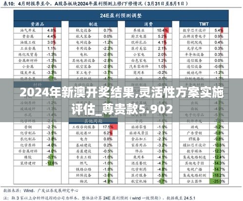 2024年新澳开奖结果,灵活性方案实施评估_尊贵款5.902