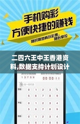 二四六王中王香港资料,数据支持计划设计_Tizen16.695