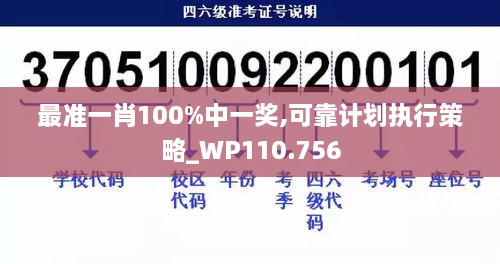 最准一肖100%中一奖,可靠计划执行策略_WP110.756