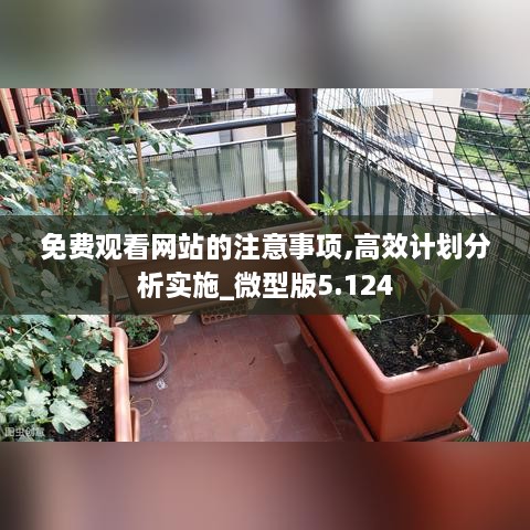 免费观看网站的注意事项,高效计划分析实施_微型版5.124