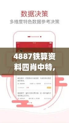 4887铁算资料四肖中特,数据说明解析_挑战版10.866