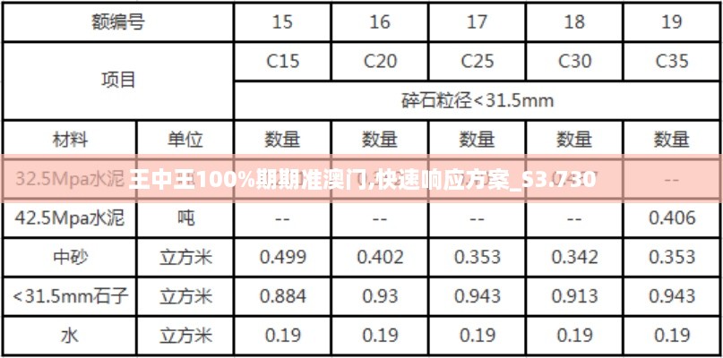 王中王100%期期准澳门,快速响应方案_S3.730