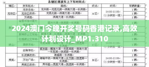 2024澳门今晚开奖号码香港记录,高效计划设计_MP1.310