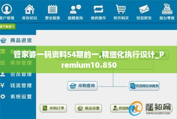 管家婆一码资料54期的一,精细化执行设计_Premium10.850