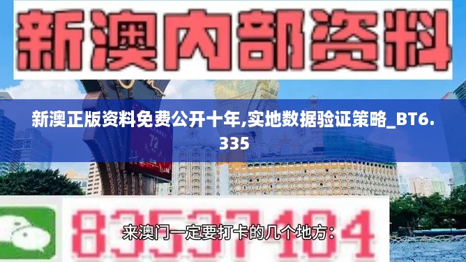 新澳正版资料免费公开十年,实地数据验证策略_BT6.335