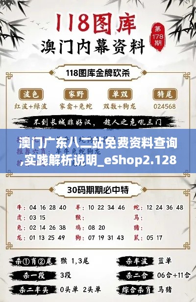 澳门广东八二站免费资料查询,实践解析说明_eShop2.128