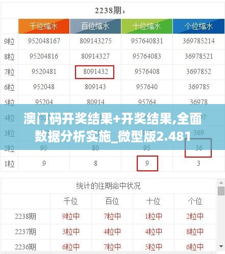 澳门码开奖结果+开奖结果,全面数据分析实施_微型版2.481