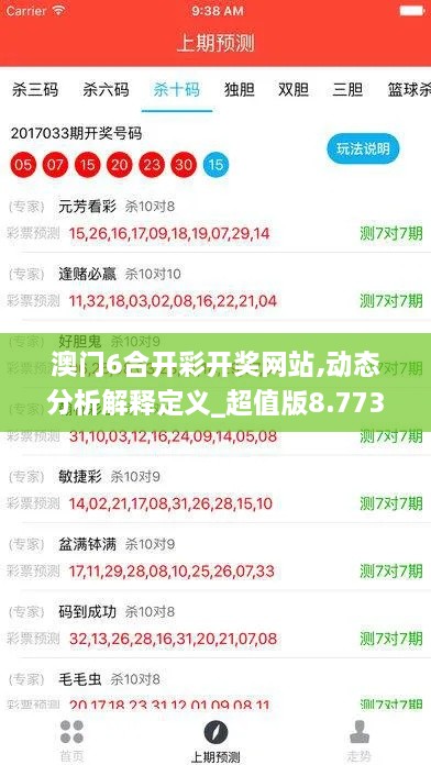 澳门6合开彩开奖网站,动态分析解释定义_超值版8.773