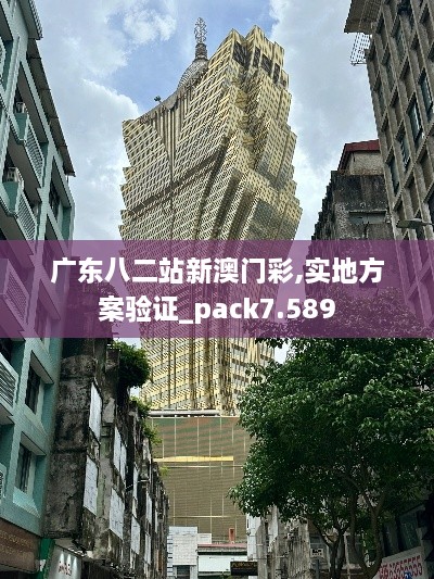 广东八二站新澳门彩,实地方案验证_pack7.589