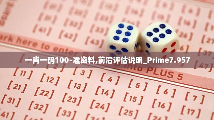 一肖一码100-准资料,前沿评估说明_Prime7.957